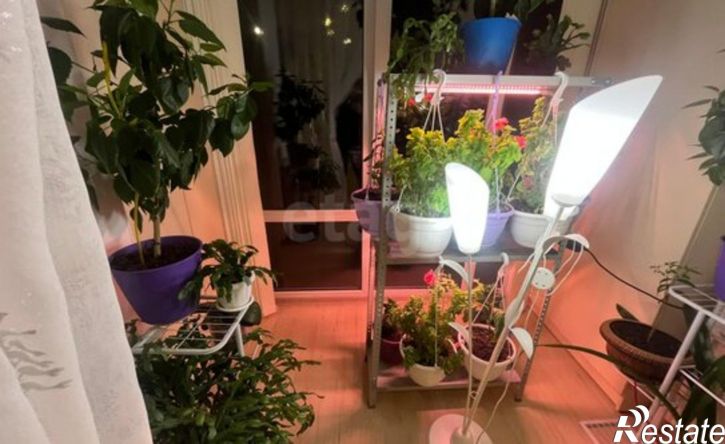 2-комн квартира улица Зураба Магкаева, 83/4,  д. 83/4